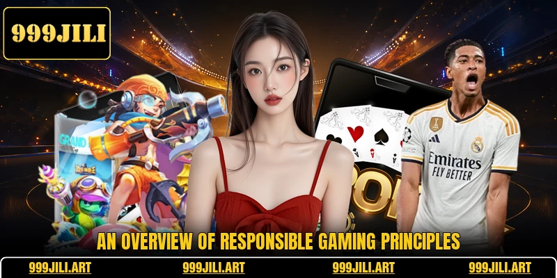An overview of responsible gaming principles An overview of responsible gaming principles