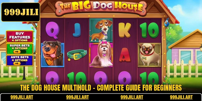The Dog House Multihold - Complete Guide For Beginners