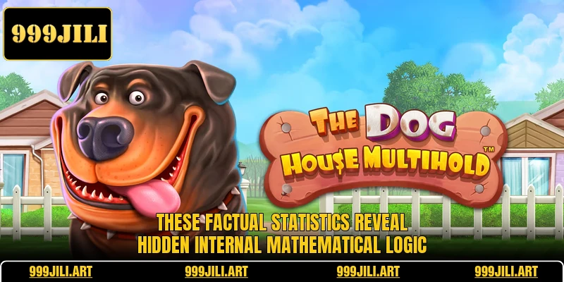 These factual statistics reveal hidden internal mathematical logic
