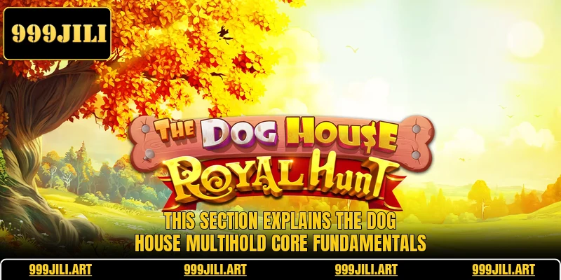 This section explains The Dog House Multihold core fundamentals